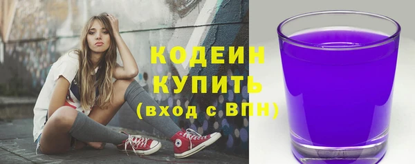 хмурый Магас
