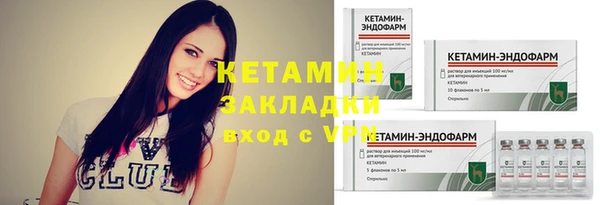 хмурый Магас
