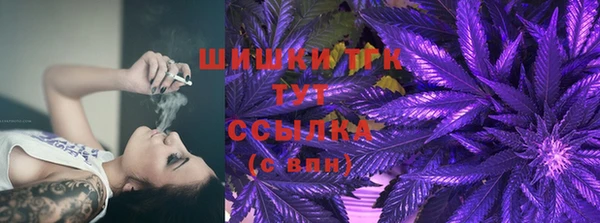 сатива Майский