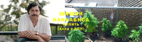 дурь Алексин