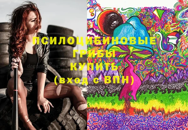 дурь Алексин
