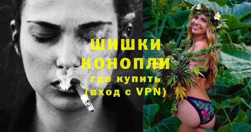 Конопля OG Kush  как найти   Жиздра 